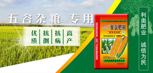 夏大豆花期管理要点